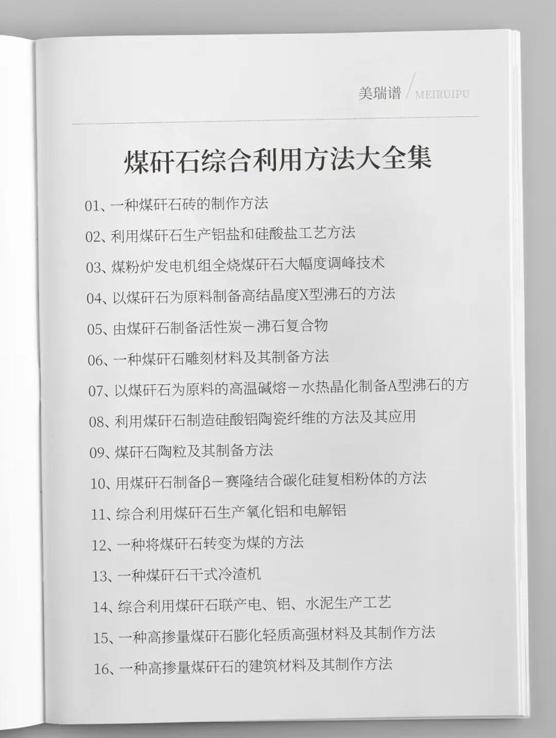 煤炭洗选选购指南：让每一粒煤都发光